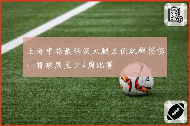上海申花戴伟浚大腿后侧肌群损伤，将缺席至少2周比赛