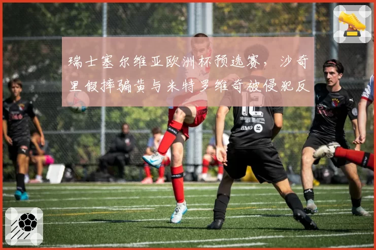 瑞士塞尔维亚欧洲杯预选赛，沙奇里假摔骗黄与米特罗维奇被侵犯反吃牌